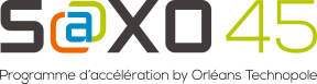 logo-saxo-45